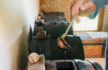 Agriturismo Podere Prasiano - Photo 28