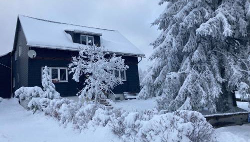 Ferienhaus Rennsteigblick - Foto 1