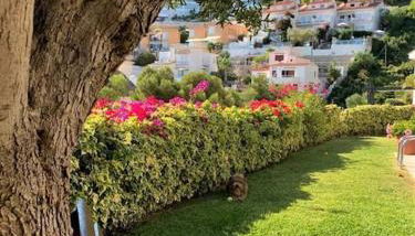 Villa Sitges Julia Vista Espectacular 2 k m s de la Playa Comoda & Area Tranquila Amplitud interior y plana - Foto 4, Garden, Garden view