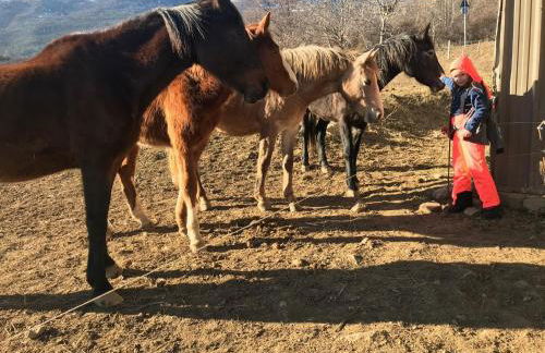 Gîtes Belle Vue - Photo 49