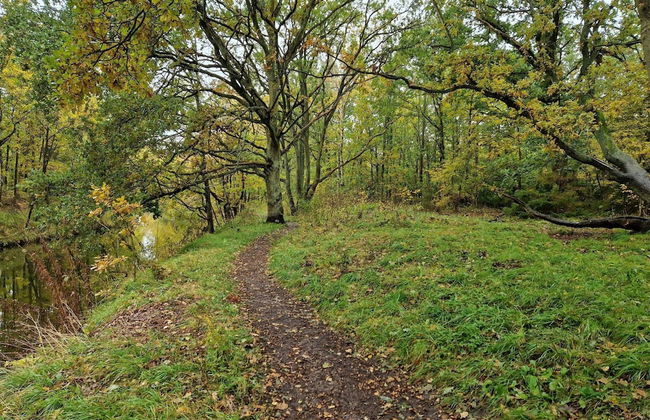 Beachfront Bliss - By Traum Ferienwohnungen - Foto 9