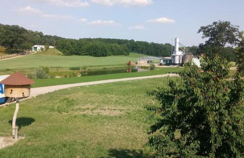 Folwark Zielona Dolina - Foto 9