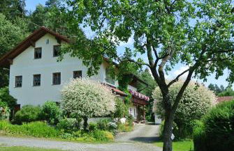 Haus Am Waldrand - Ferienwohnung Augustin - Foto 2