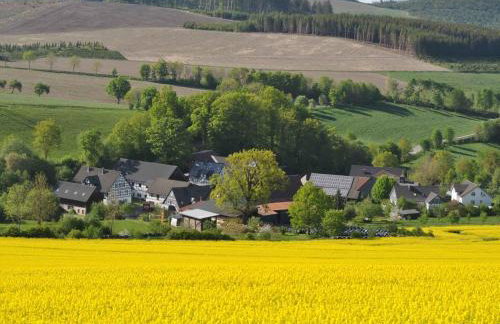 Ferienwohnungen Übern Hof - Foto 9