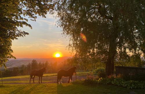 Berg-Panorama-Ferienwohnungen Gut-Lichtenau - Foto 69