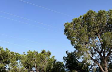 Villa Cataleya - Foto 30