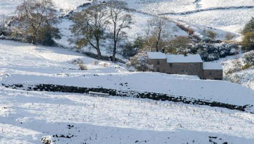 The End Place - Foto 2, Garden, Garden view