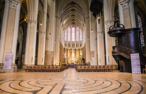 Grain de Blé,Apt lumineuxà 2 pas du centre de chartres et du colisée - Foto 13