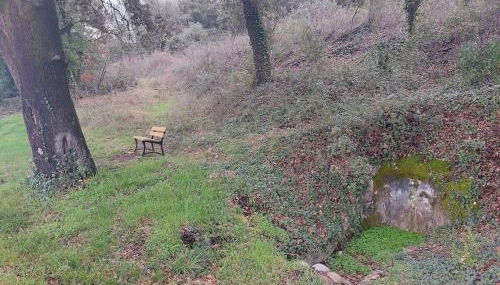 Studio au calme les hirondelles - Foto 3