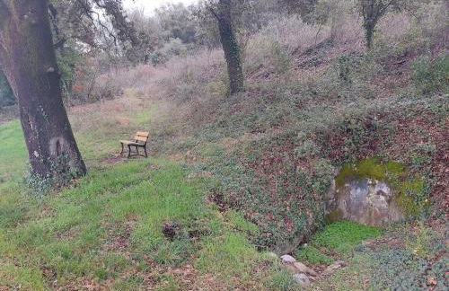 Studio au calme les hirondelles - Foto 3