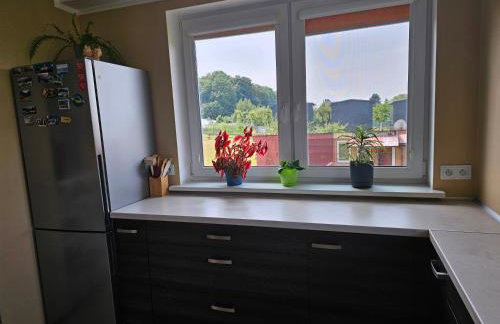 Pod Gruszą - Foto 59