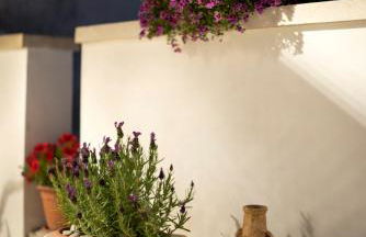 Palestro 5 - Foto 13