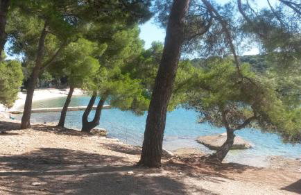 Apartment Lidija - Foto 37