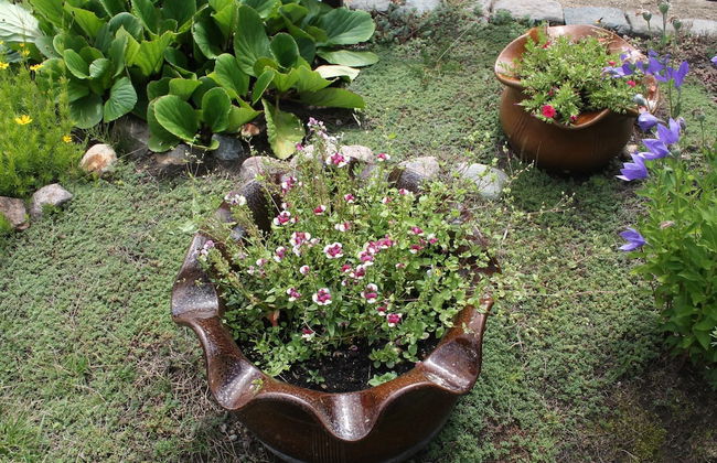 Wohnung mit Eigener Terrasse in Wismar - Foto 15