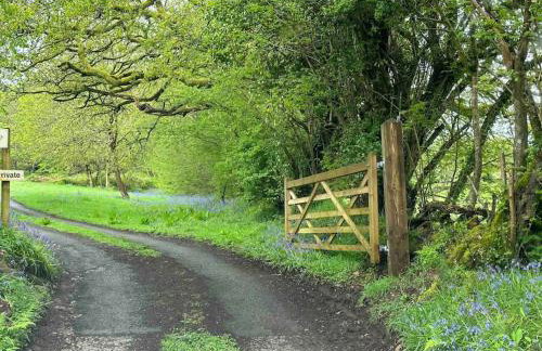 Cornwall Woodland Shepherd's Hut with Hot Tub - Deirdres Hut - Foto 58