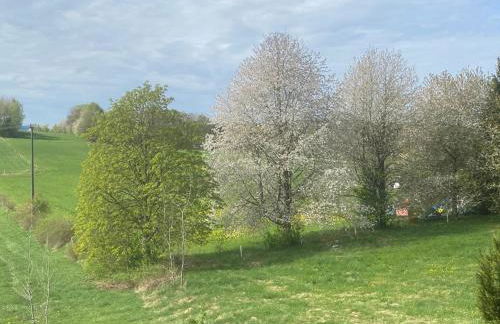 Fewo Waidla - Foto 22