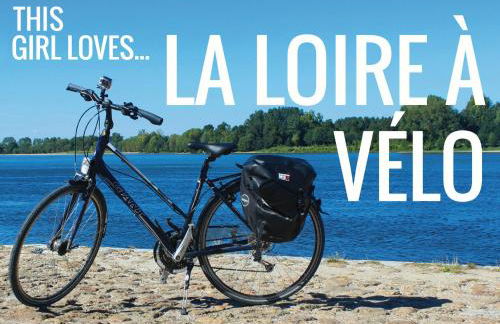 Chalet Loire proche Sancerre - Foto 33