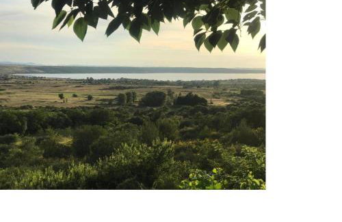 Green & blue - Foto 31