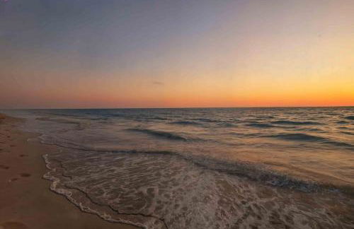 The Sunshine Social - Photo 37