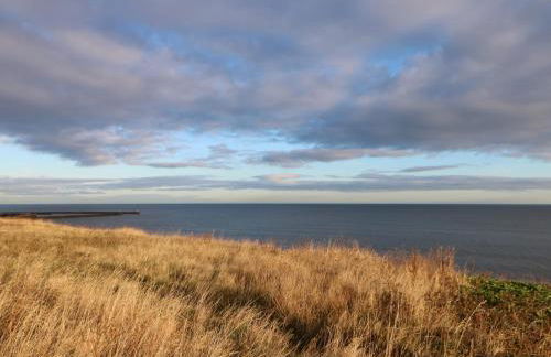 5 Ashcroft Mews - Photo 28