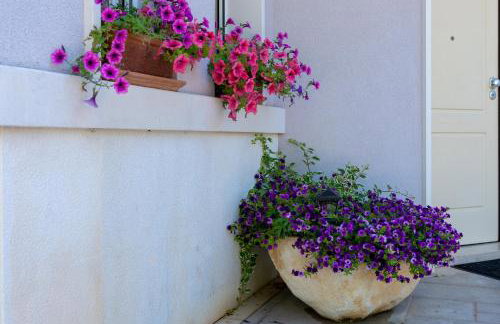 Apartmani Olga - Photo 39