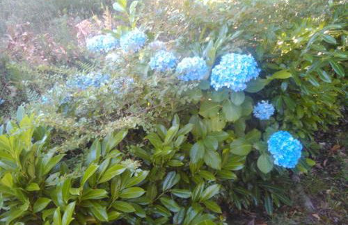 Casa Do Fiscal - Foto 20