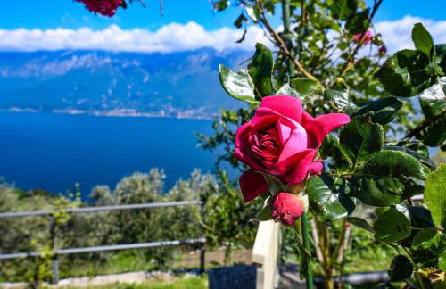 Glicine by Garda FeWo - Foto 55