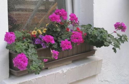 Ferienwohnung Einbeck FeWo B Nolte - Photo 64