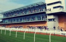 The Greenhouse - Foto 21