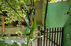 Chalé Suítes Casa na Praia de Itamambuca - Foto 24