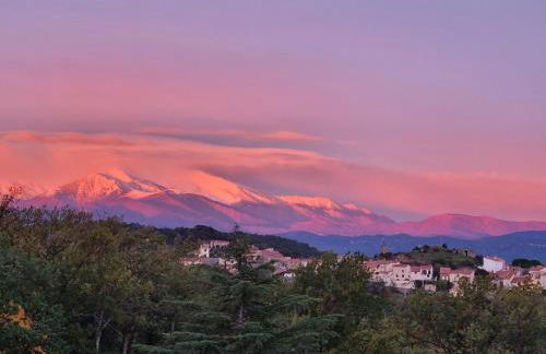 Le Micocoulier - Foto 26