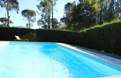 Cottage in Santa Comba with Pool - Photo 8