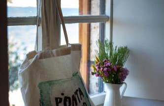 VILLA BIRIMIŠA LOPUD ISLAND - Photo 34