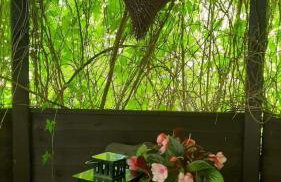 Sominy 17 - Dom w sercu kaszubskiej wsi - Foto 20