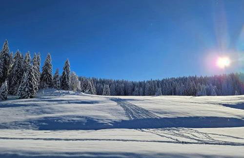 Charme et quiétude au cœur du Haut-Jura - Foto 42