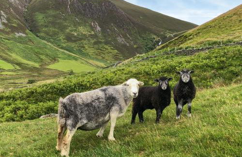 Brook House 2 - Uk31043 - Foto 26