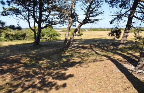 Wenkendorf Apartment Küstenzauber - Foto 30