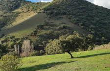 Sierra de Aracena Cala Huelva Casa Rural - Foto 69