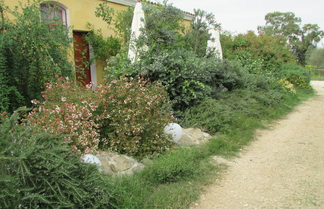 Cavalli di S'Arcaite - Foto 51