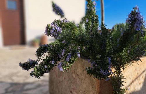 Amazing STUDIO CASA FERMEGLIA with private jacuzzie and perfect panoramic view - Foto 20