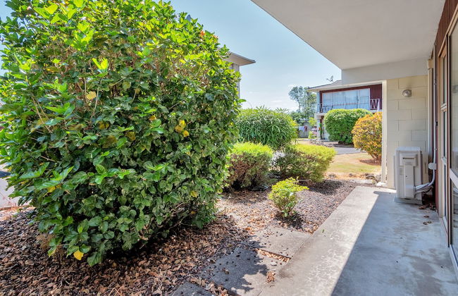 Bright 3 Bedroom near St Lukes Mall 3 - Photo 21