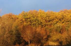 Country Residence Turicchi - Foto 27