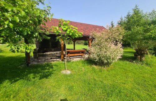 Agroturystyka Sosnowy Gaik - Foto 6