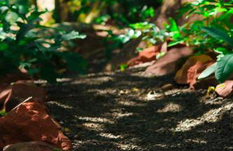 Cabana Quintal - Foto 24