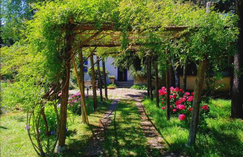 Milano Country Club - Villa with private pool and garden - Foto 7