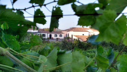 Casa Vacanze Etna - Foto 1, Garden view
