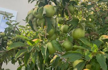 Villa Adriana SIKOVO - Foto 37