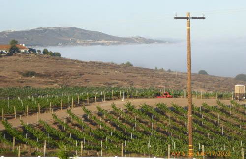 Mansion on the Hill let 4 Rooms, 5th cost extra - Foto 47