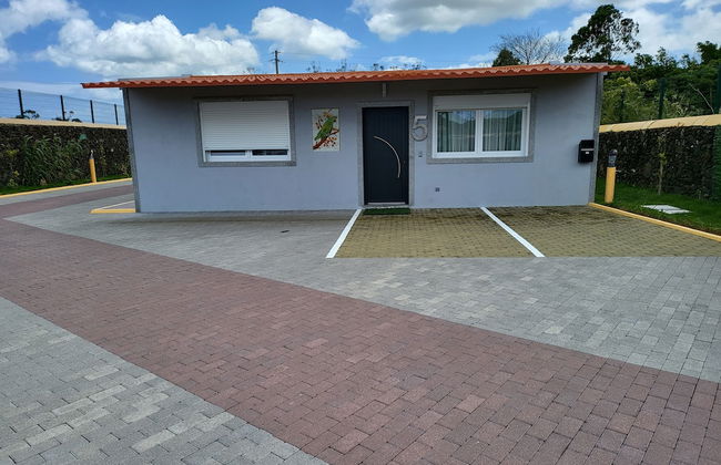 Parrots Village - Foto 4