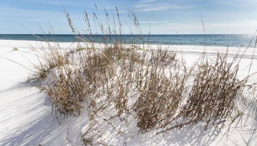 Pirates Bay A108 - Foto 5, Other